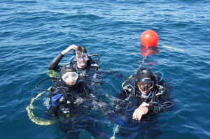 Diving off Portimao 2